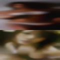 Local Michigan nude girls