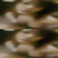Nude girl near Oroville