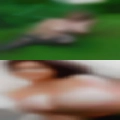 Chicago swingers
